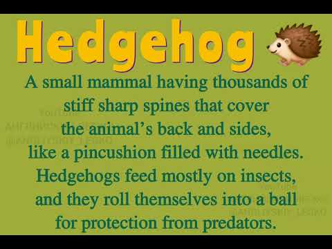 Видео: 📚 ТОЛКОВЫЙ СЛОВАРЬ 📚 ЁЖИК