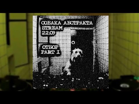 Видео: собака абстракта IV: Отборочный раунд | Part 1