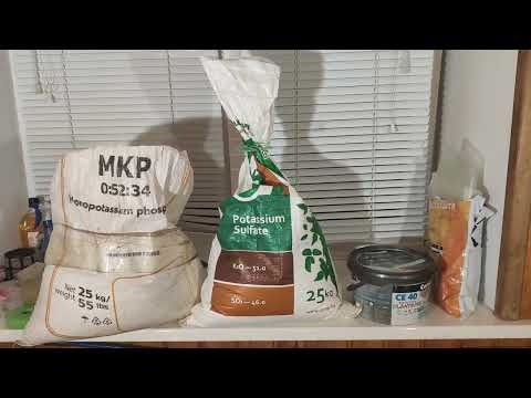 Видео: Применение фосфорных и калийных удобрений на виноградных кустах.
