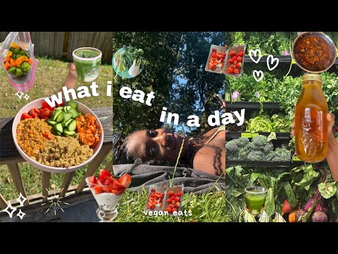 Видео: Что я ем за день для здоровья кишечника🦋 (веганский + доступный)