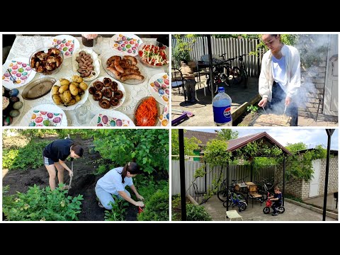 Видео: Легко,просто и быстро🤩Еë всегда много🙃Посадили и навели порядок