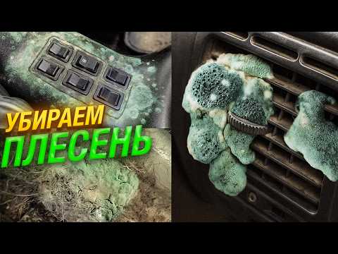 Видео: ⚠️ЧТО ДЕЛАТЬ если ЗАВЕЛАСЬ ПЛЕСЕНЬ🤢 в АВТОМОБИЛЕ? #ОТМЫЛИ