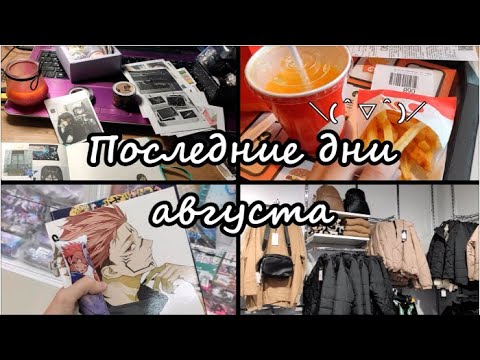Видео: VLOG: последние дни августа 2023