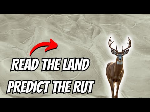 Видео: Как предсказать движение оленя в горной местности во время гона, используя рельеф местности