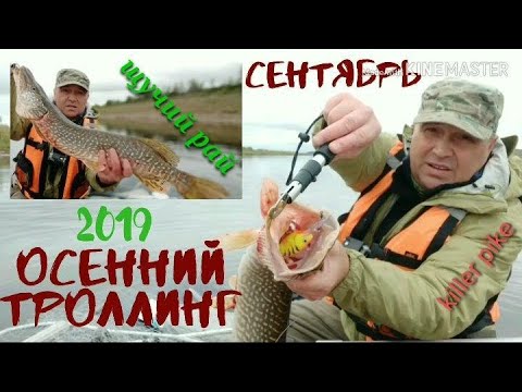 Видео: Рыбалка в Архангельской области. Троллинг - осень 2019.