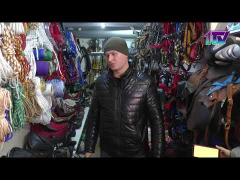 Видео: 06.12.21. Конную упряжь изготавливают осужденные в северном Казахстане