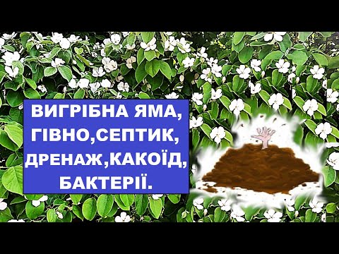 Видео: Вигрібна яма, септик відновлюю дренаж. Бактерії та гівно. Наочний експеримент.