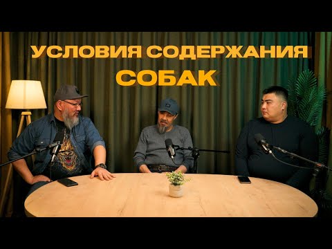 Видео: Условия содержания Собак