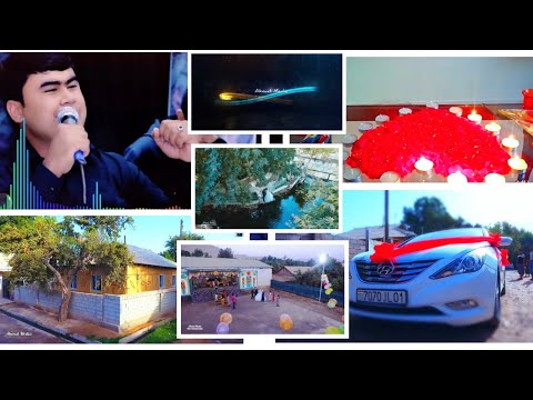 Видео: Кубодиён Калелин туй  Happy Wedding 2023