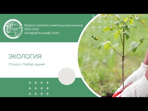 Видео: Муниципальный этап 2022–2023 уч.г. Экология. 10 класс. Разбор заданий