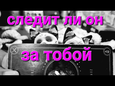 Видео: 🙀💯 Узнай его секрет.  Следит ли он за тобой? Гадание на таро