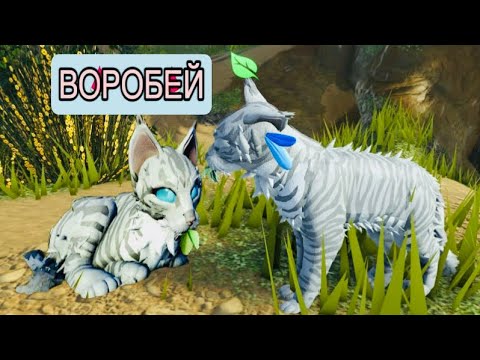 Видео: Как сделать скин воробья в котах воителях?! ( роблокс)) warriors cat 🐈‍⬛