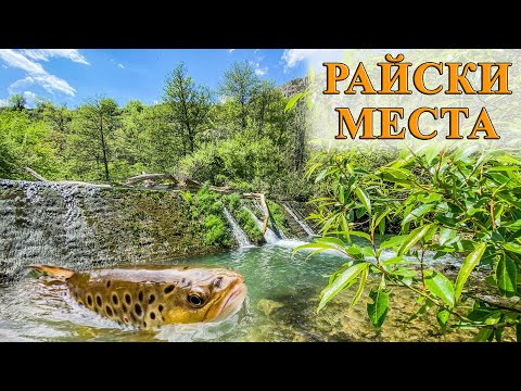 Видео: Риболов на пъстърва с блесна и воблер на река Златна Панега