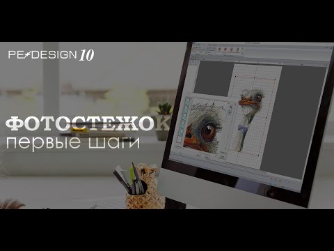 Видео: Уроки PE Design: Фотовышивка (Photostich). Страус