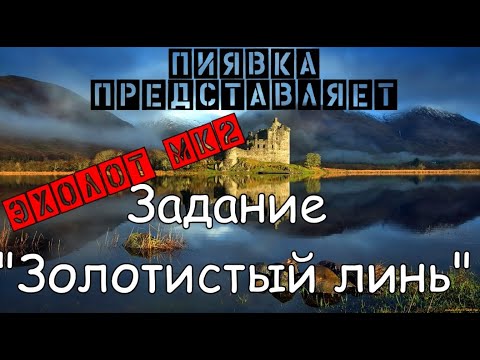 Видео: ЗОЛОТОЙ ЛИНЬ #MyFishingworld