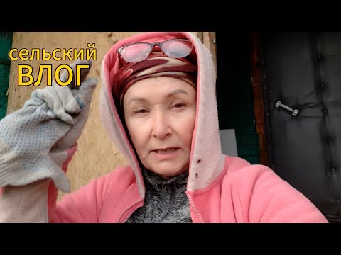 Видео: Спустили картошку в подполье. Засыпали овёс.