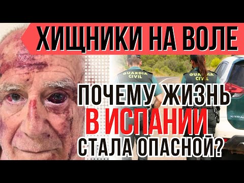 Видео: ИХ СТАНОВИТСЯ ВСЁ БОЛЬШЕ И ДАЖЕ СРЕДИ ЧИНОВНИКОВ! Нападения на женщин и стариков в Испании уже норма