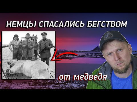 Видео: КАК МЕДВЕДЬ СОРВАЛ ПЛАНЫ НЕМЦЕВ НА СЕКРЕТНОЙ ПОЛЯРНОЙ БАЗЕ