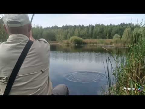 Видео: Ловля карпа на кукурузу.