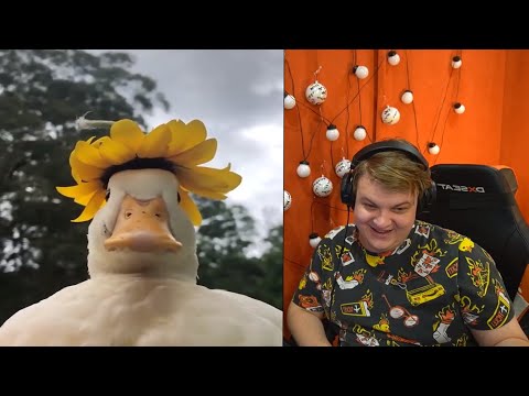 Видео: ПЯТЁРКА ПЫТАЕТСЯ НЕ ЗАСМЕЯТЬСЯ ОТ СМЕШНОГО ВИДЕО