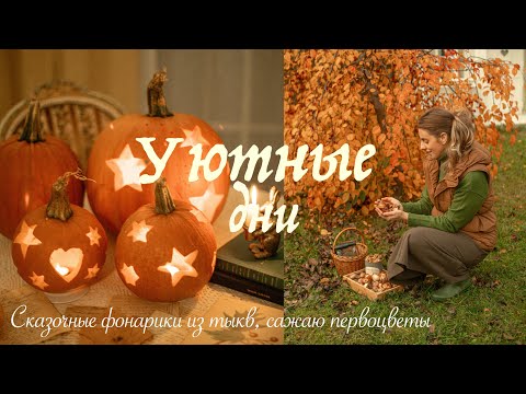 Видео: Уютные Осенние Дни | Фонари из Тыкв, Сад, Посадка Первоцветов 🍂