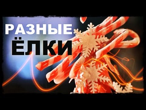 Видео: Галилео. Разные ёлки