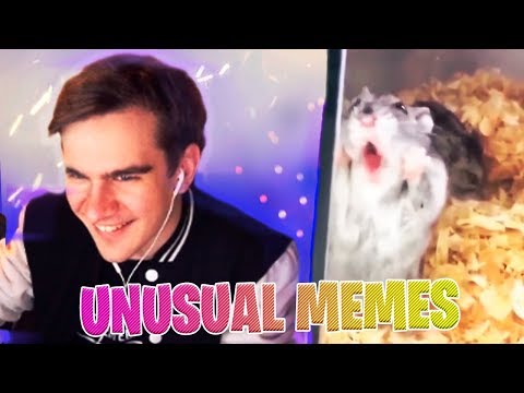 Видео: БРАТИШКИН СМОТРИТ МЕМЫ,ВЕБМЫ / UNUSUAL MEMES COMPILATION V81