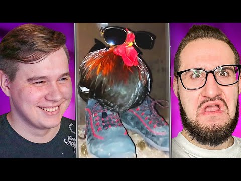 Видео: ПЕТУХ НА СТИЛЕ! РЕАКЦИЯ НА ТИК ТОК С COFFI