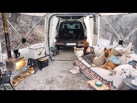 Видео: Соло-кампинг в снежных горах при -5℃ с сильным ветром, новой печью и собакой