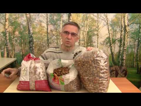 Видео: Посадка желудей самое эффективное в восстановлении лесов.