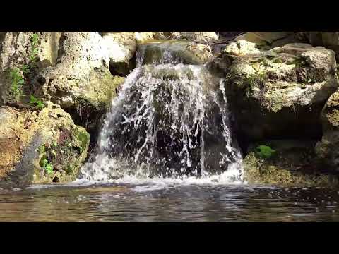 Видео: Звуки Природи для Твого Сну та Відпочинку| Звук Води