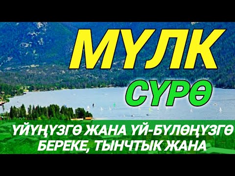 Видео: СҮРӨ АЛ МҮЛК! 🎧❤️ ҮЙДҮ ЖИН МЕНЕН ШАЙТАНАН ТАЗАЛАП, ҮЙ-БҮЛӨГӨ ТЫНЧТЫК, БЕРЕКЕ ЖАНА ЫРЫСКЫ АЛЫП КЕЛЕТ