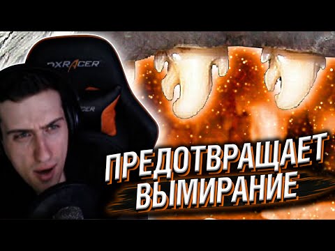 Видео: Hellyeahplay смотрит: Вот Как Эволюция Предотвращает Вымирание Животных