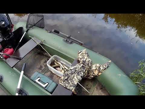 Видео: Наша рыбалка. Река Шоша, он позвал мамку!