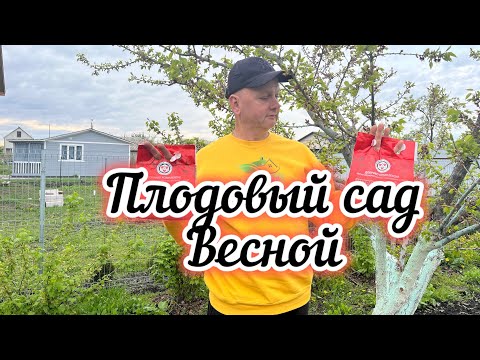Видео: Как правильно подкармливать…