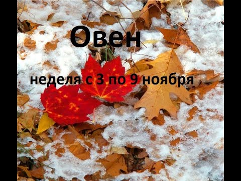 Видео: Овен таро прогноз на неделю с 3 по 9 ноября 2025 года. 