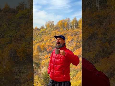 Видео: ВКУС ОСЕНИ В ГОРАХ АЛАТАУ