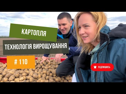 Видео: #110 Технологія вирощування КАРТОПЛІ 🥔Полтавська область. Відео з поля та відповіді на ПИТАННЯ❗️🔥