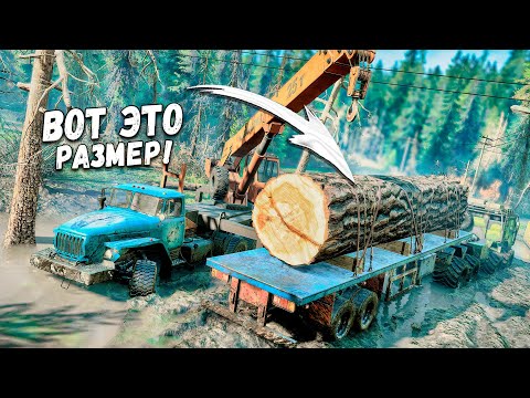 Видео: ПЕРЕВОЗКА УПАВШИХ ДЕРЕВЬЕВ! SNOWRUNNER С МОДАМИ