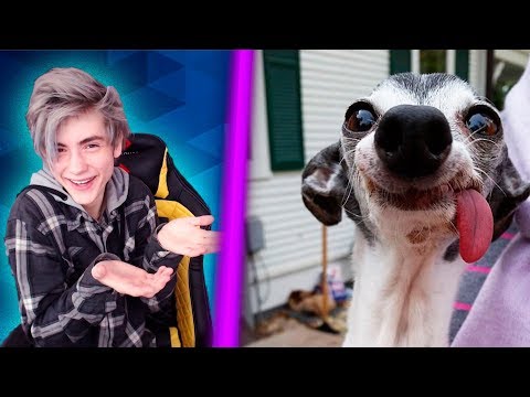 Видео: 674 СЕКУНДЫ СМЕХА | ЛУЧШИЕ ПРИКОЛЫ АПРЕЛЬ 2018 | ПОПРОБУЙ НЕ ЗАСМЕЯТЬСЯ ЧЕЛЛЕНДЖ |ЗАСМЕЯЛСЯ ПРОИГРАЛ