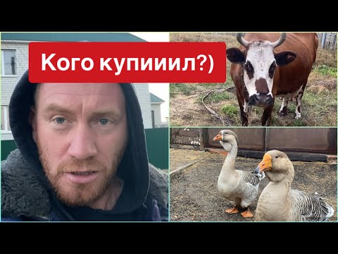 Видео: ВЫ ОБАЛДЕЕТЕ КОГО Я ОПЯТЬ КУПИЛ 😅😅😅