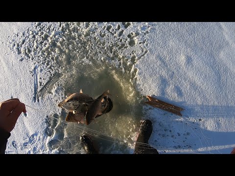 Видео: ХАПУГИ ТРЕЩАЛИ И НЕ ЛЕЗЛИ В ЛУНКИ!!! О ТАКОМ ОТКРЫТИИ Я И НЕ МЕЧТАЛ. ПЕРВЫЙ ЛЁД 2022-2023...