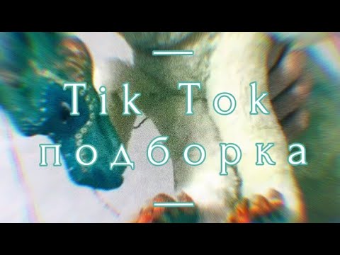 Видео: Тик Ток подборка [2] | Драконья Сага | Tik Tok Compilation | Wings of Fire || ＧｒｅａｔｎｅＳＳ　ツ