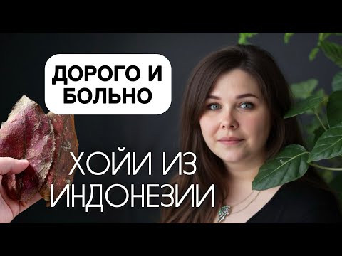 Видео: Распаковка ХОЙ ИЗ ИНДОНЕЗИИ.. Ожидание и реальность