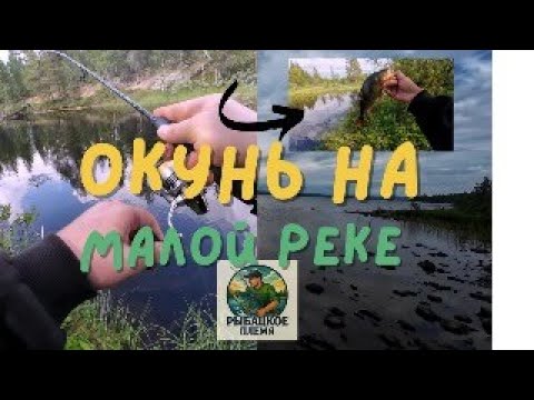 Видео: РЫБАЛКА МУРМАНСК, окунь не дал скучать. ЧАСТЬ 1.