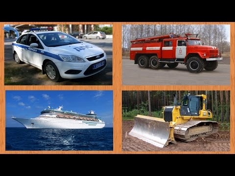 Видео: Учим виды транспорта и техники.  Развивающее видео для деток