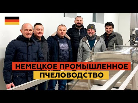 Видео: Немецкое промышленное пчеловодство — экскурсия по производству