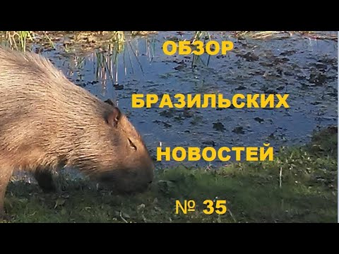 Видео: Обзор бразильских новостей № 35