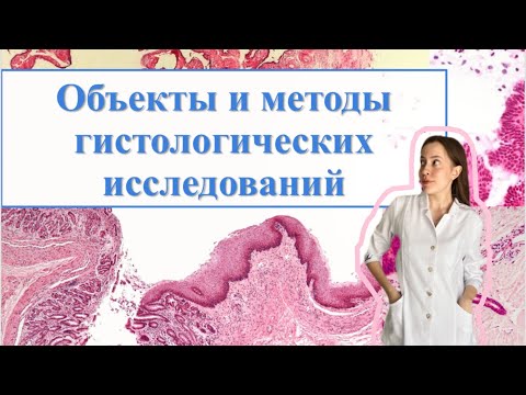 Видео: Первая тема | Объекты и методы исследования в гистологии | РНИМУ 