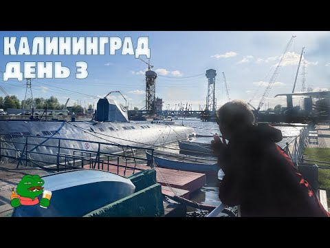 Видео: Калининград. День 3. Где погулять, где поесть, где выпить?